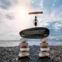 快‍速‌CSS3教‍程​